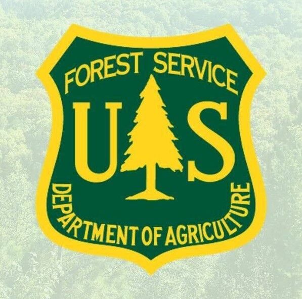FOREST SERVICE.jpg